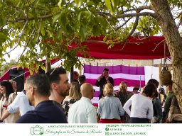 Festival Mar de Tethys 2026 - Bodega Vetas